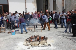 Calatafimi - Segesta28.JPG